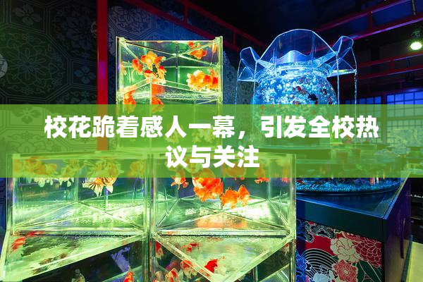校花跪着感人一幕，引发全校热议与关注