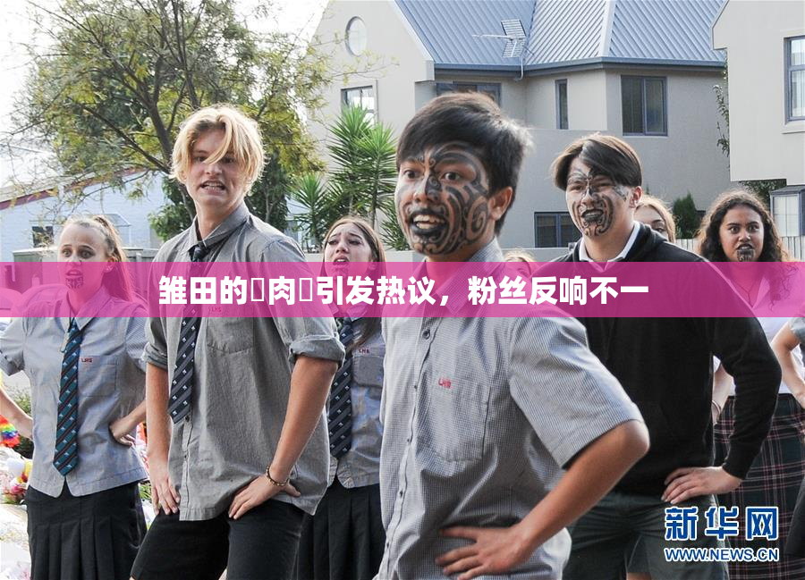 雏田的婬肉泬引发热议，粉丝反响不一