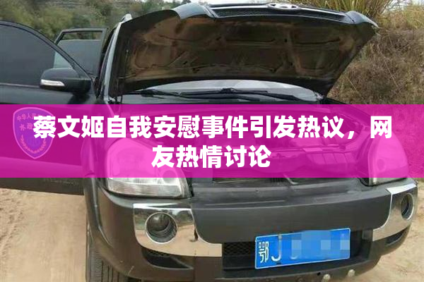 蔡文姬自我安慰事件引发热议，网友热情讨论