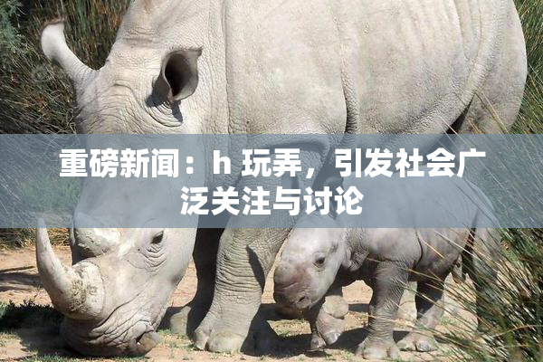 重磅新闻：h 玩弄，引发社会广泛关注与讨论