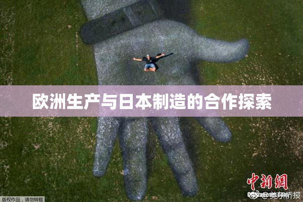 欧洲生产与日本制造的合作探索