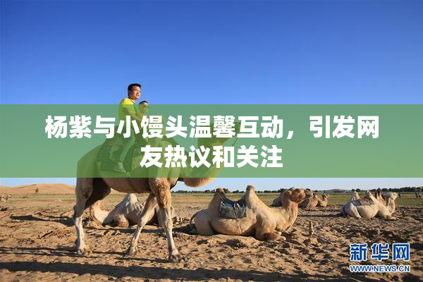 杨紫与小馒头温馨互动，引发网友热议和关注