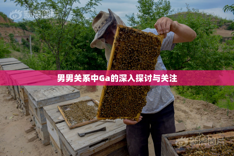 男男关系中Ga的深入探讨与关注
