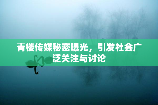 青楼传媒秘密曝光，引发社会广泛关注与讨论