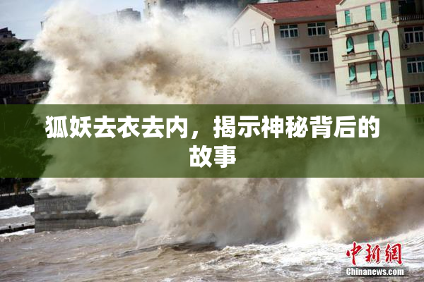 狐妖去衣去内，揭示神秘背后的故事