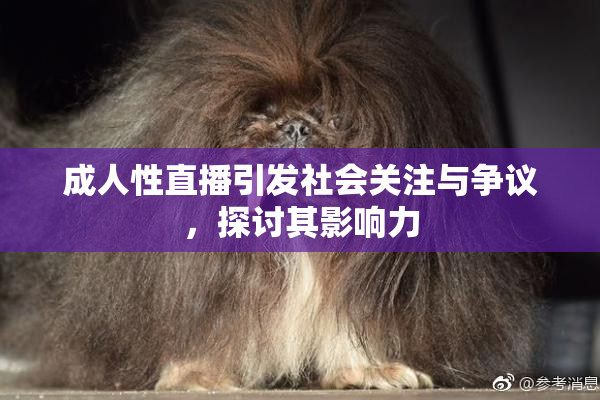成人性直播引发社会关注与争议，探讨其影响力