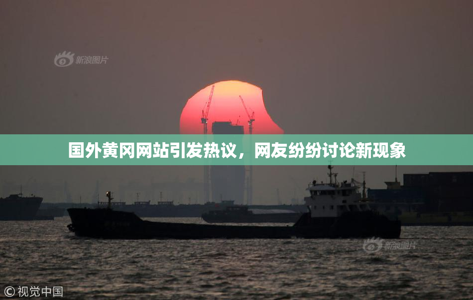 国外黄冈网站引发热议，网友纷纷讨论新现象