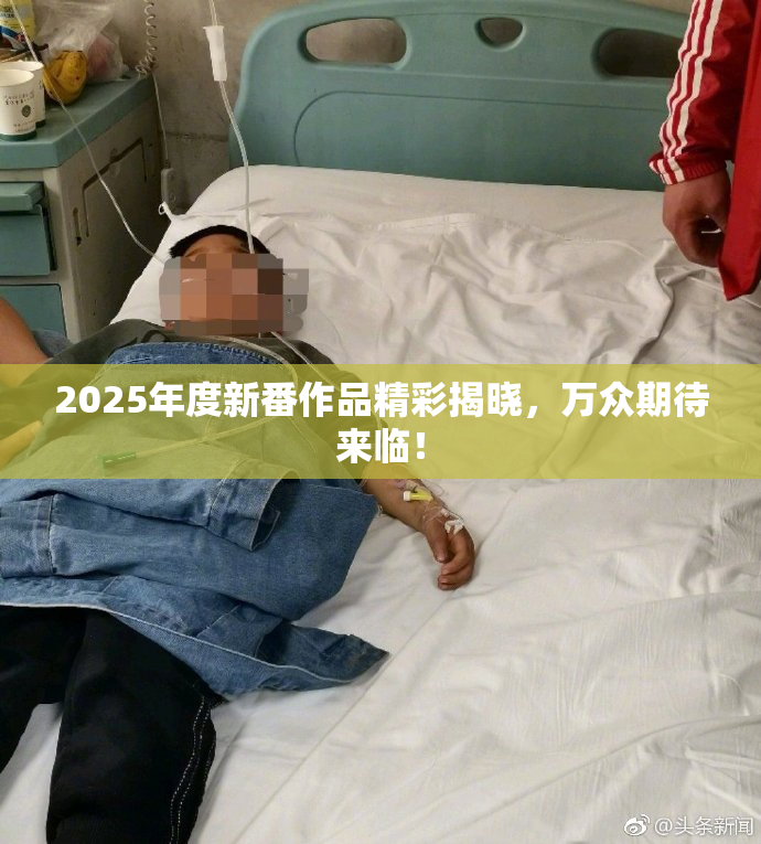 2025年度新番作品精彩揭晓，万众期待来临！