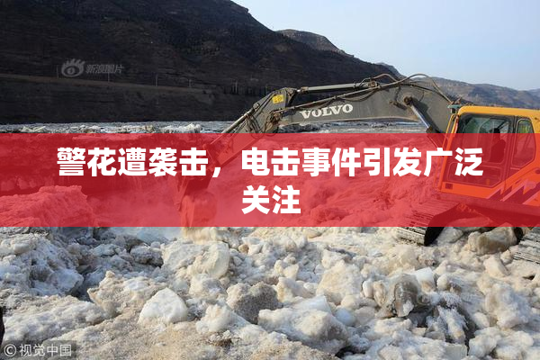 警花遭袭击，电击事件引发广泛关注