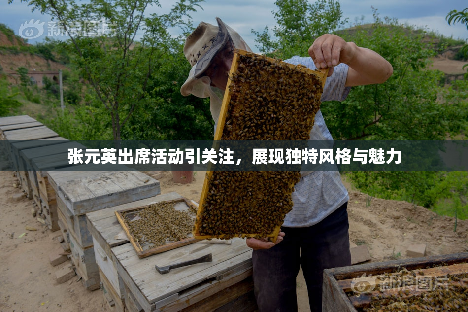张元英出席活动引关注，展现独特风格与魅力