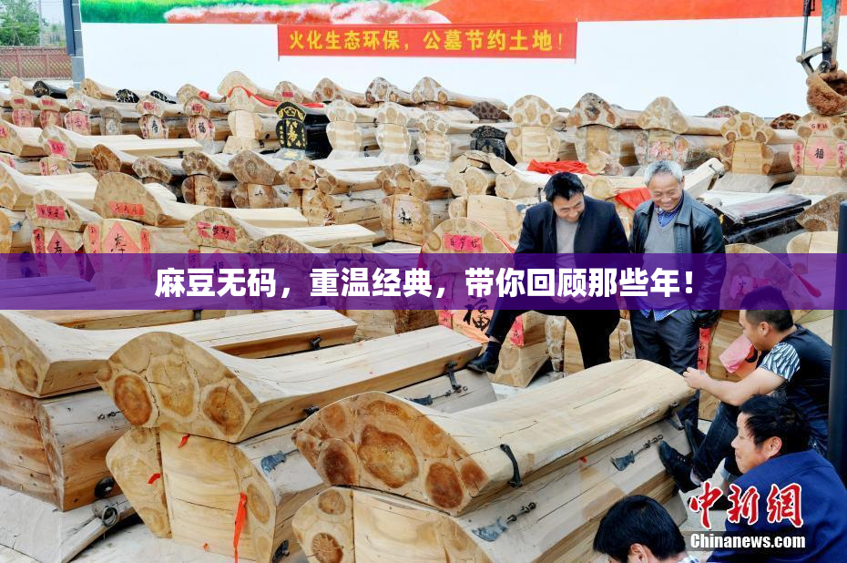 麻豆无码，重温经典，带你回顾那些年！