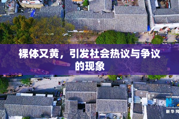 裸体又黄，引发社会热议与争议的现象