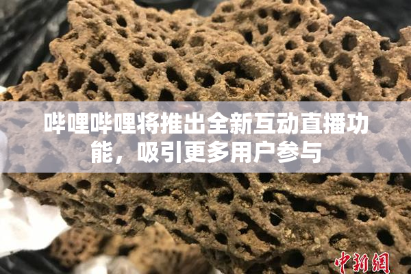 哔哩哔哩将推出全新互动直播功能，吸引更多用户参与
