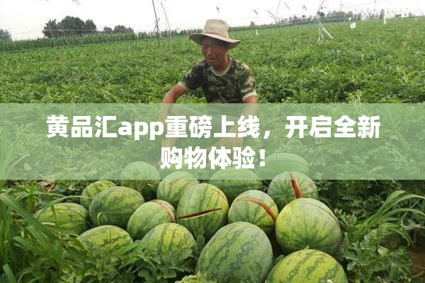 黄品汇app重磅上线，开启全新购物体验！