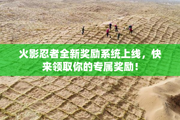 火影忍者全新奖励系统上线，快来领取你的专属奖励！