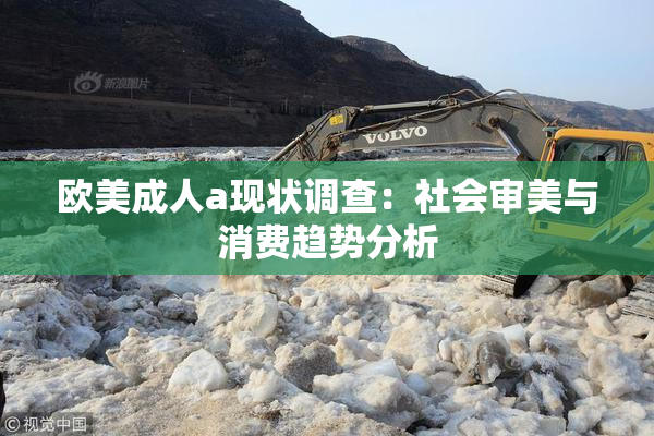 欧美成人a现状调查：社会审美与消费趋势分析