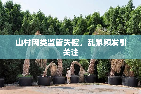 山村肉类监管失控，乱象频发引关注