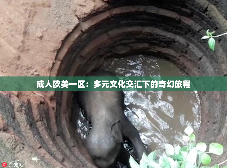 成人欧美一区：多元文化交汇下的奇幻旅程