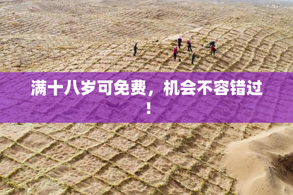 满十八岁可免费，机会不容错过！
