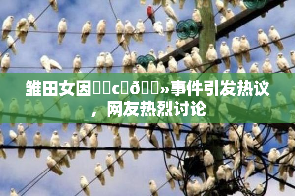 雏田女因❌‌c‌🐻事件引发热议，网友热烈讨论