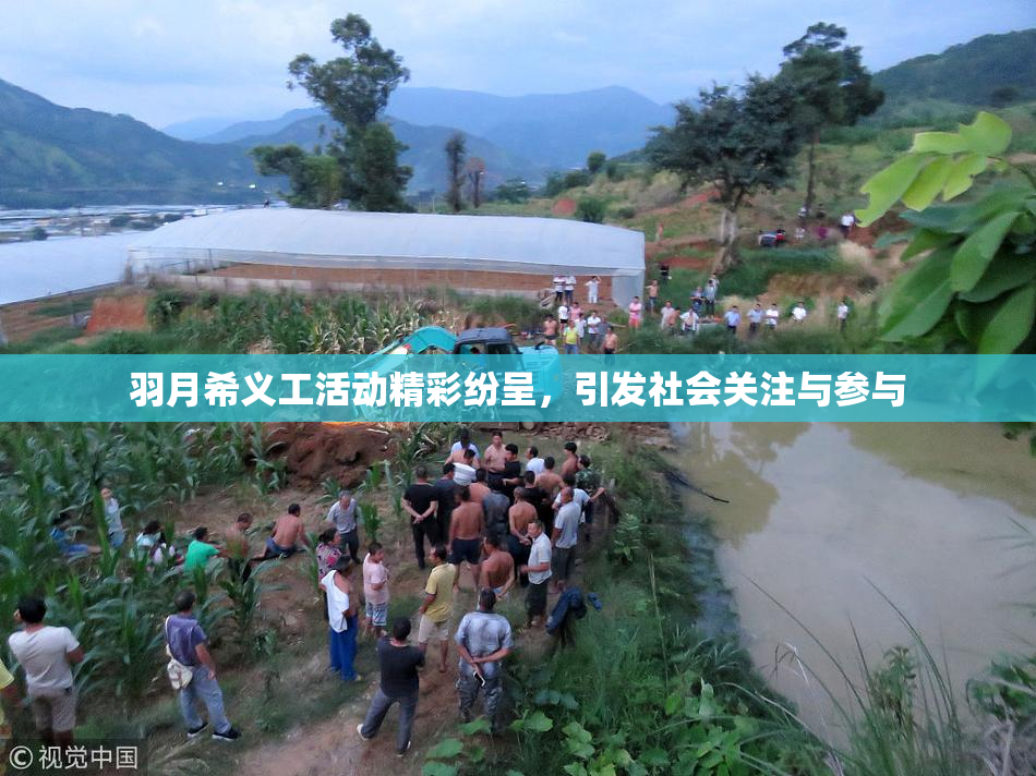 羽月希义工活动精彩纷呈，引发社会关注与参与