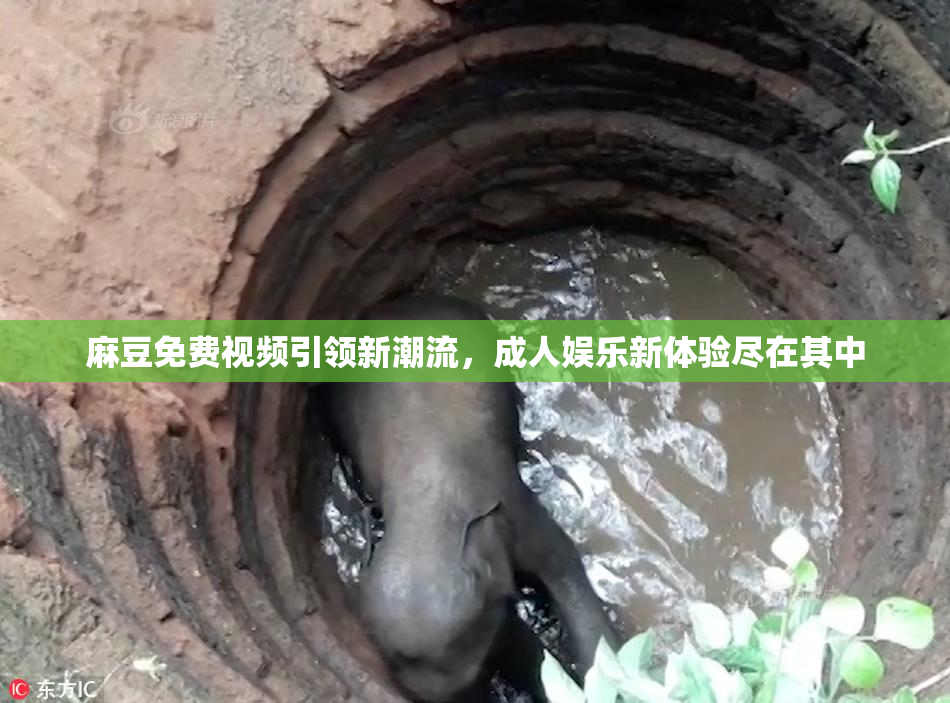麻豆免费视频引领新潮流，成人娱乐新体验尽在其中