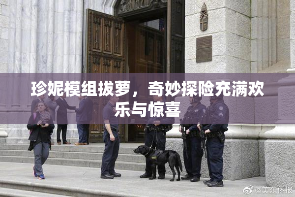 珍妮模组拔萝，奇妙探险充满欢乐与惊喜