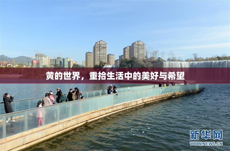 黄的世界，重拾生活中的美好与希望