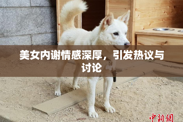 美女内谢情感深厚，引发热议与讨论