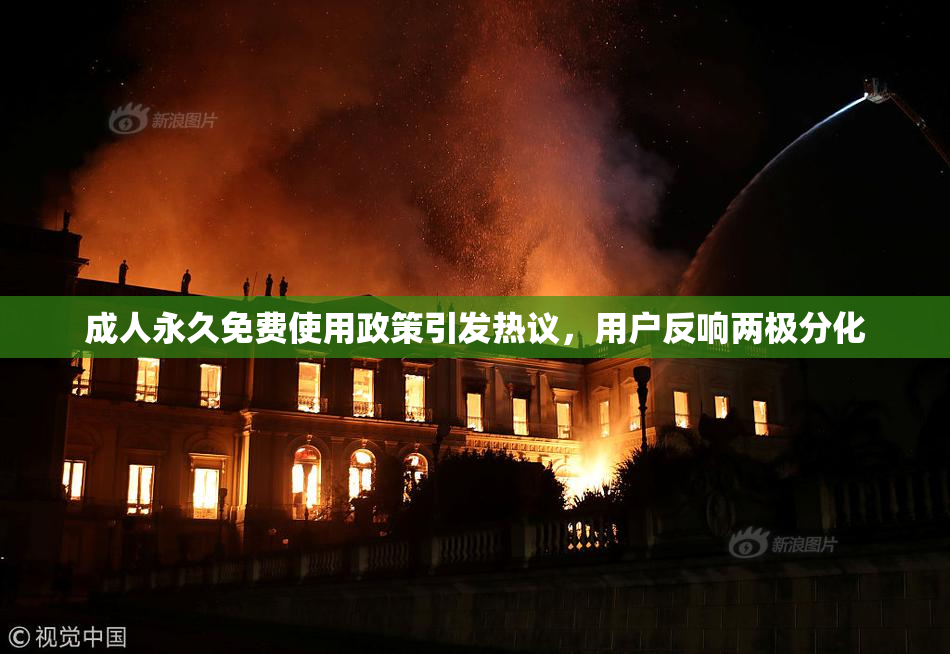 成人永久免费使用政策引发热议，用户反响两极分化