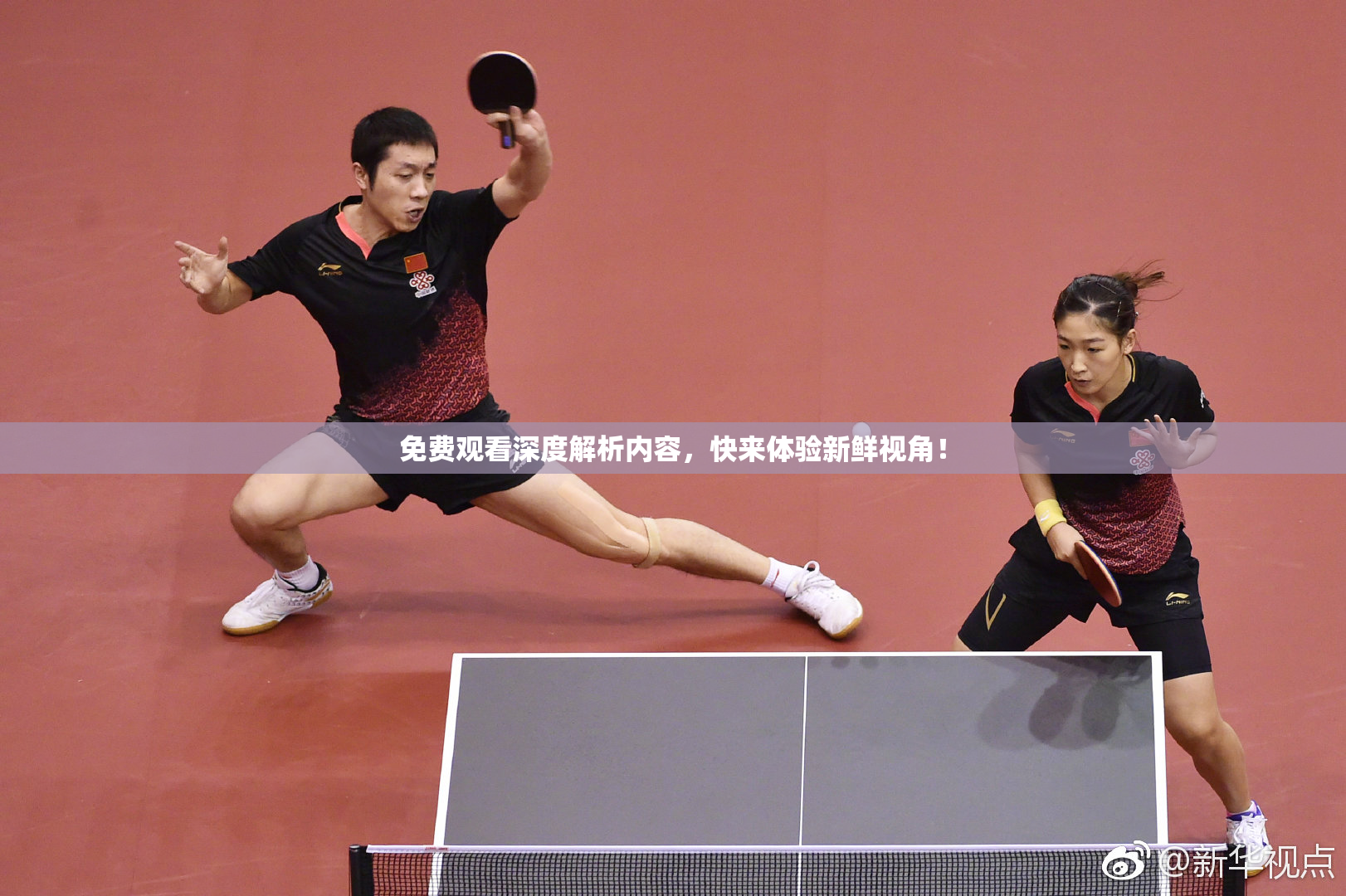 免费观看深度解析内容，快来体验新鲜视角！