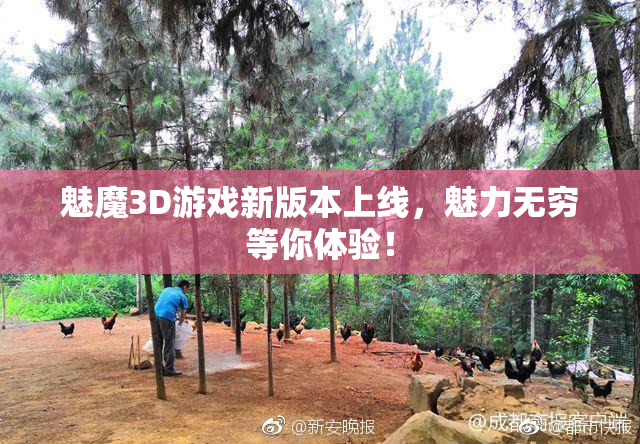 魅魔3D游戏新版本上线，魅力无穷等你体验！