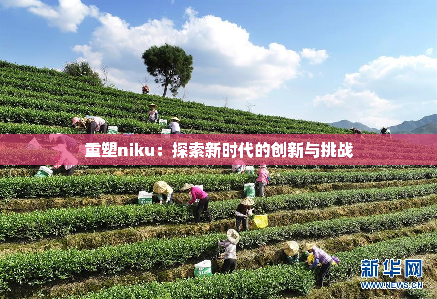 重塑niku：探索新时代的创新与挑战