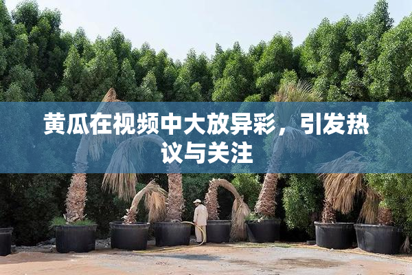 黄瓜在视频中大放异彩，引发热议与关注