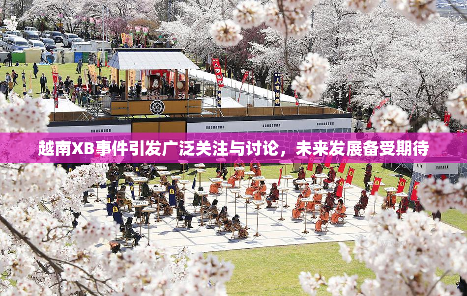 越南XB事件引发广泛关注与讨论，未来发展备受期待