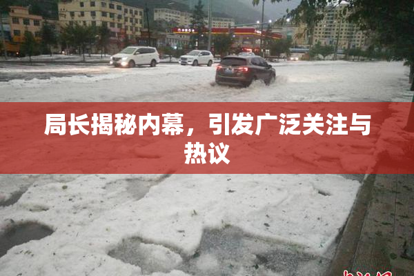 局长揭秘内幕，引发广泛关注与热议