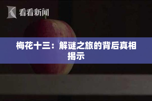 梅花十三：解谜之旅的背后真相揭示