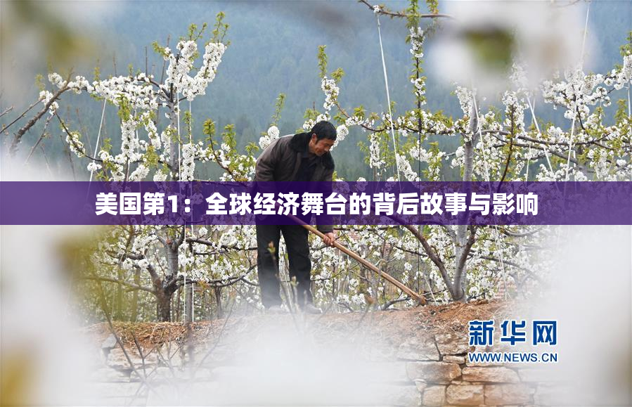 美国第1：全球经济舞台的背后故事与影响