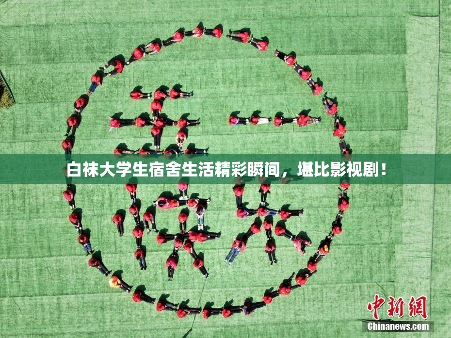 白袜大学生宿舍生活精彩瞬间，堪比影视剧！