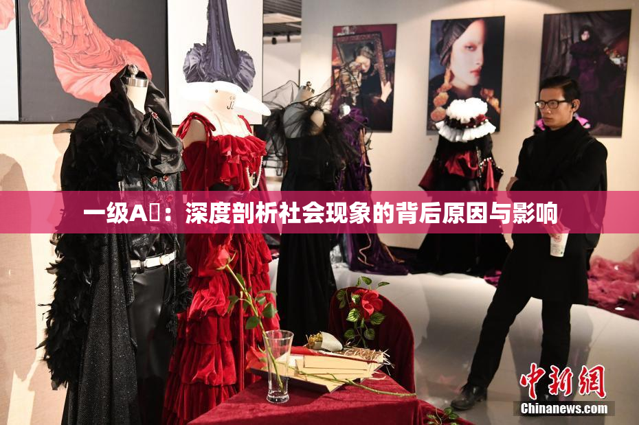 一级A婬：深度剖析社会现象的背后原因与影响
