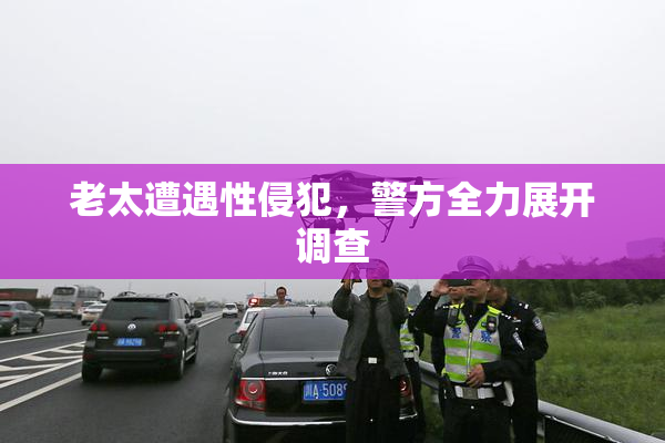 老太遭遇性侵犯，警方全力展开调查