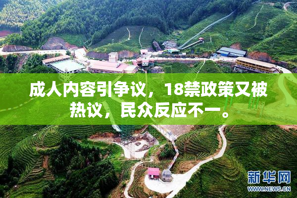成人内容引争议，18禁政策又被热议，民众反应不一。