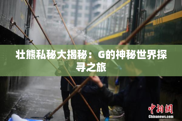 壮熊私秘大揭秘：G的神秘世界探寻之旅