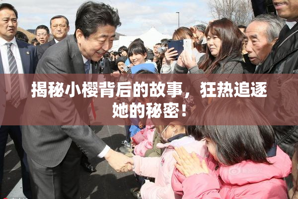 揭秘小樱背后的故事，狂热追逐她的秘密！