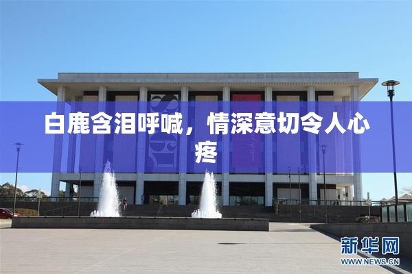白鹿含泪呼喊，情深意切令人心疼