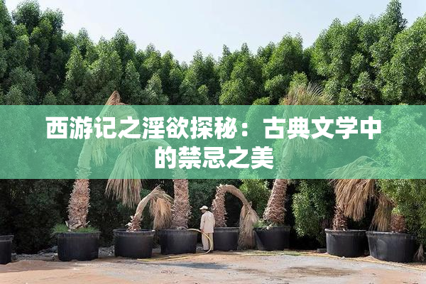 西游记之淫欲探秘：古典文学中的禁忌之美