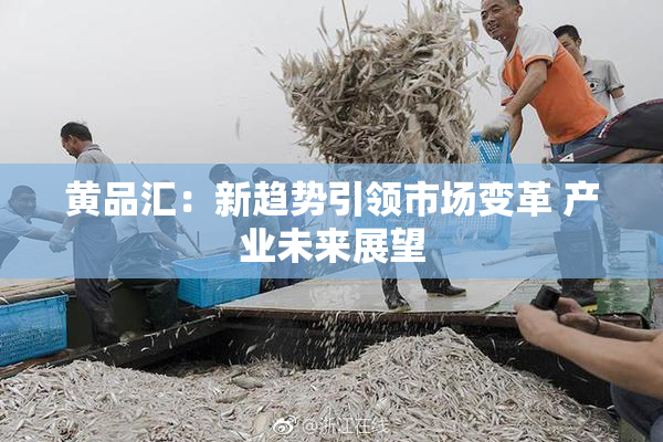 黄品汇：新趋势引领市场变革 产业未来展望