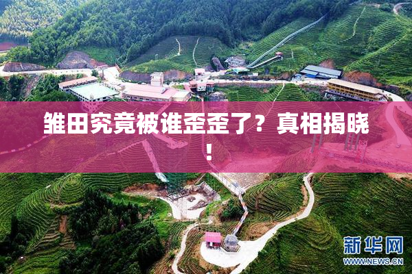 雏田究竟被谁歪歪了？真相揭晓！