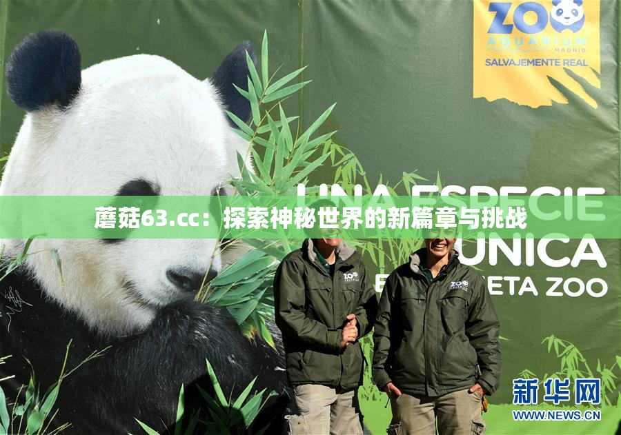 蘑菇63.㏄：探索神秘世界的新篇章与挑战