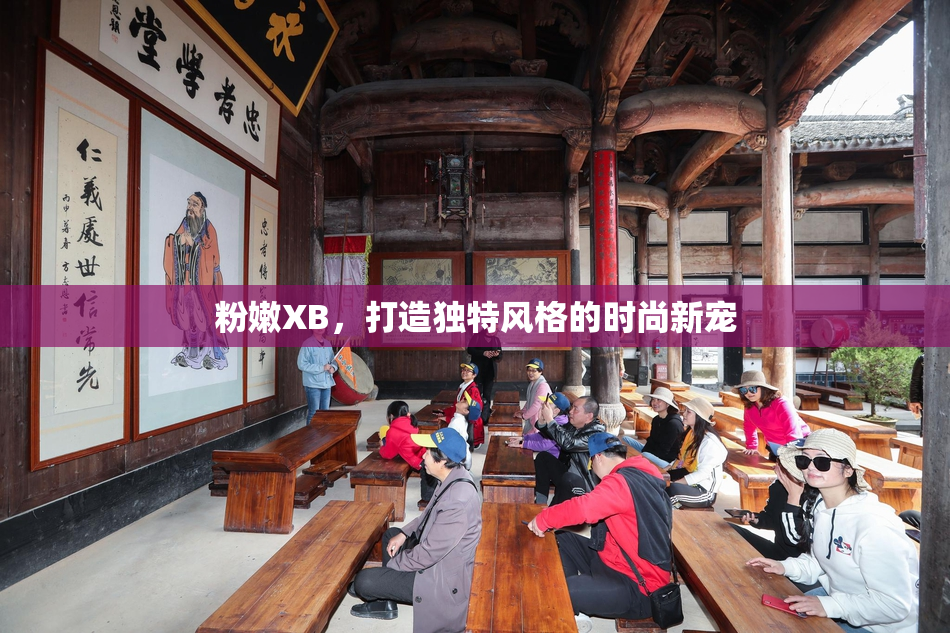 粉嫩XB，打造独特风格的时尚新宠